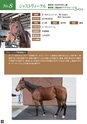 Thanks Horse project リトレーニングセール 第2回 in 吉備高原　Thoroughbred Re-training Sale 2017