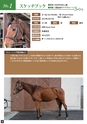 Thanks Horse project リトレーニングセール 第2回 in 吉備高原　Thoroughbred Re-training Sale 2017
