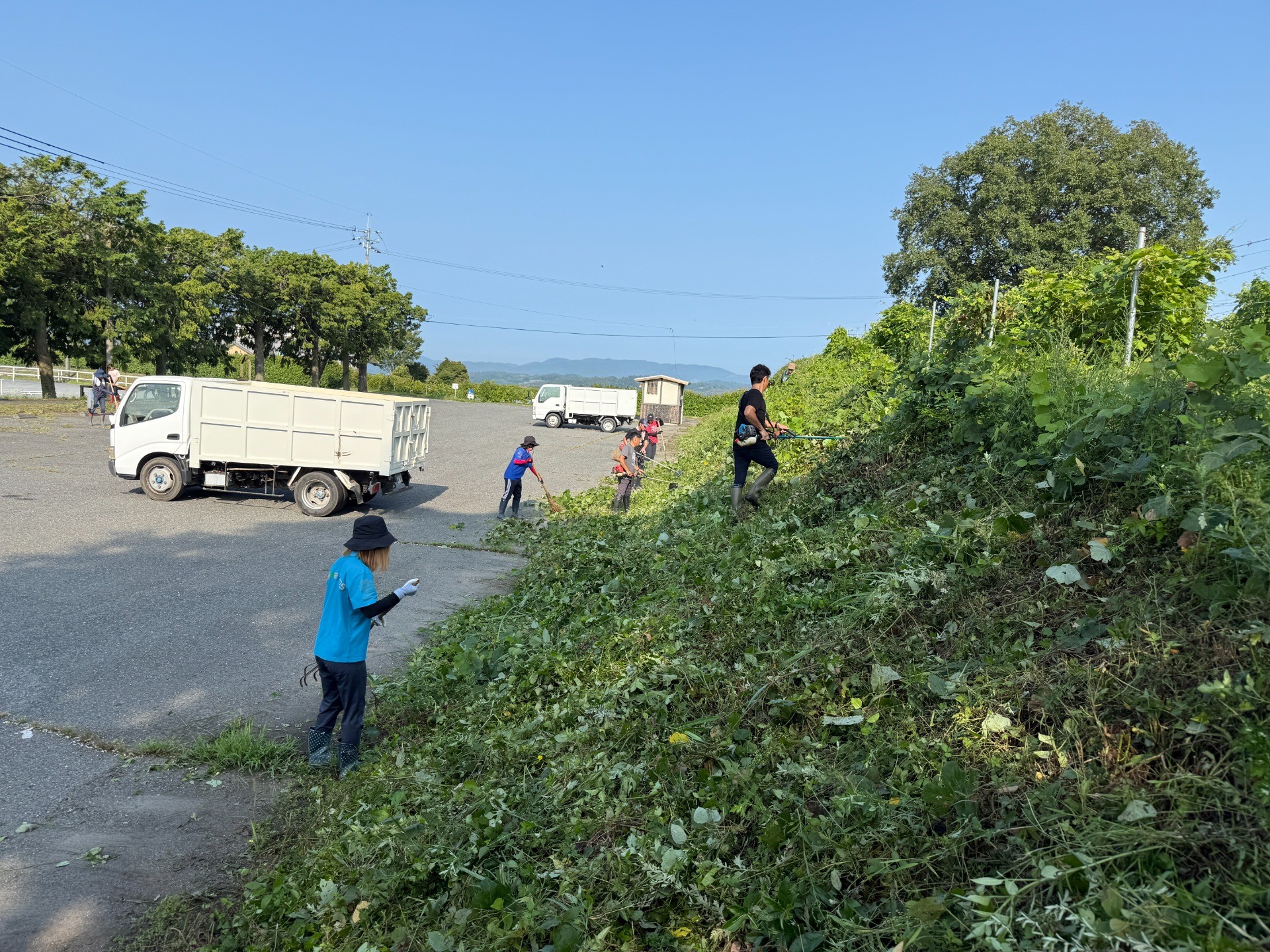 地域ボランティア活動を行いました